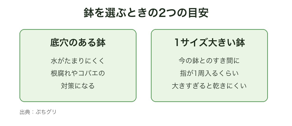 鉢を選ぶときの2つの目安の図