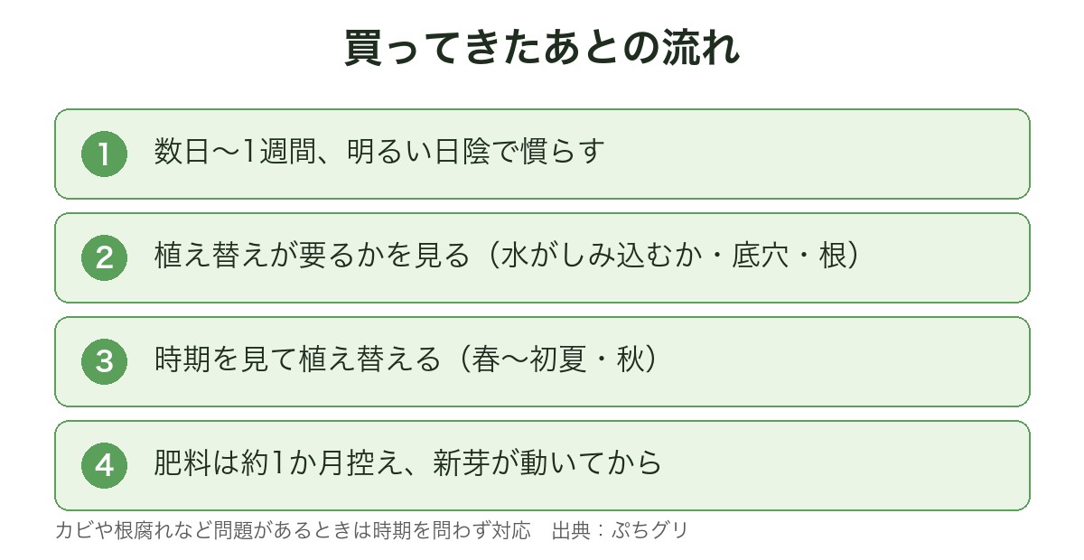 買ってきたあとの流れの図