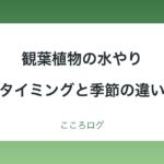 観葉植物の水やり｜タイミングの見分け方と季節の違い