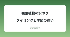 観葉植物の水やり｜タイミングの見分け方と季節の違い
