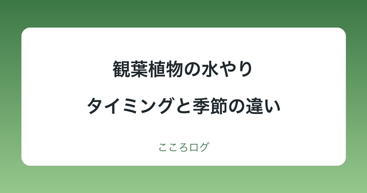 観葉植物の水やり｜タイミングの見分け方と季節の違い
