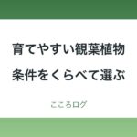 育てやすい観葉植物は？条件をくらべて選ぶ6種