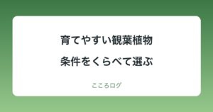育てやすい観葉植物は？条件をくらべて選ぶ6種