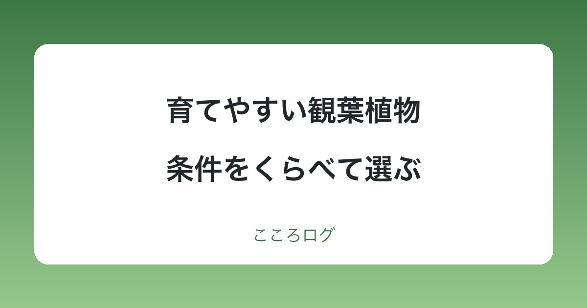 育てやすい観葉植物は？条件をくらべて選ぶ6種