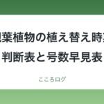 観葉植物の植え替え時期はいつ？判断表と鉢の号数早見表