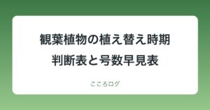 観葉植物の植え替え時期はいつ？判断表と鉢の号数早見表