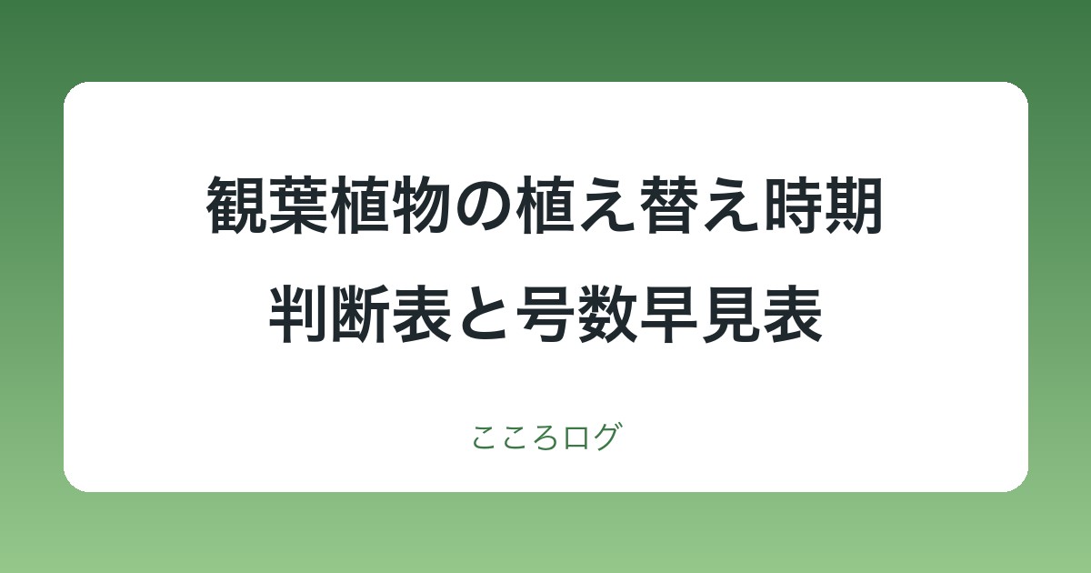 観葉植物の植え替え時期はいつ？判断表と鉢の号数早見表