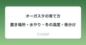 オーガスタの育て方｜置き場所・水やり・冬の温度・植え替えの目安