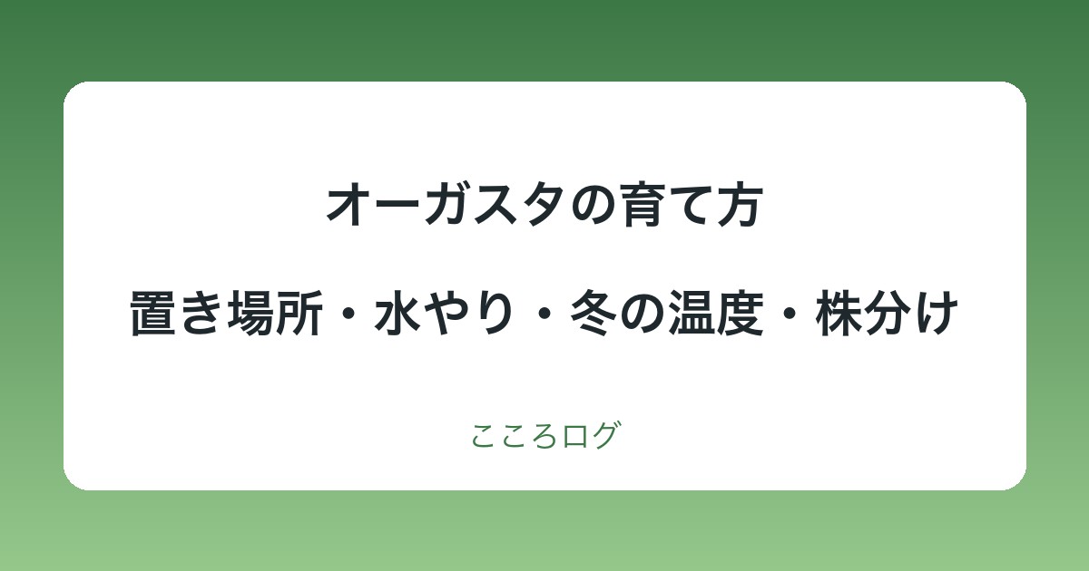 オーガスタの育て方｜置き場所・水やり・冬の温度・植え替えの目安