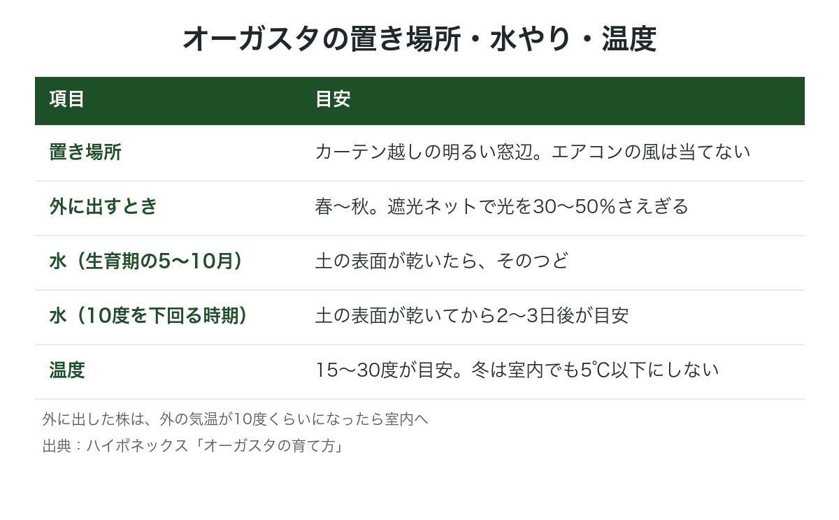 オーガスタの置き場所・水やり・温度の目安の図