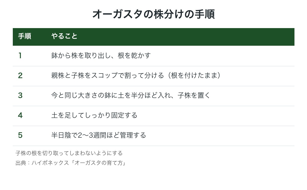 オーガスタの株分けの手順の図