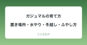 ガジュマルの育て方｜置き場所・季節ごとの水やり・冬越し・植え替え・ふやし方