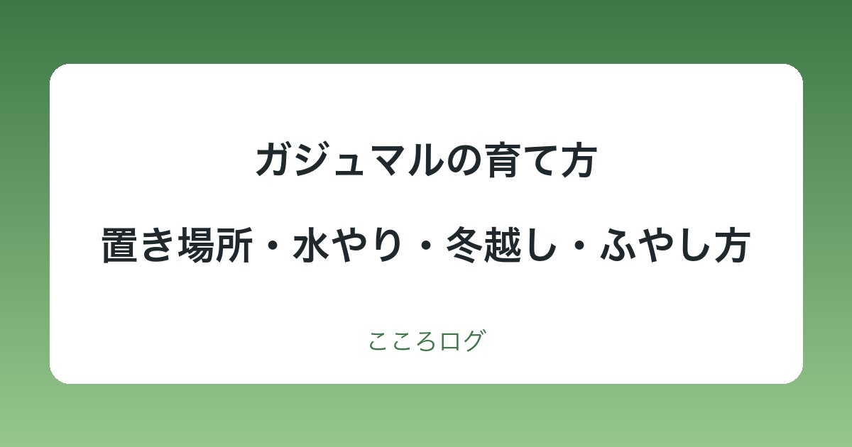 ガジュマルの育て方|置き場所・季節ごとの水やり・冬越し・植え替え・ふやし方