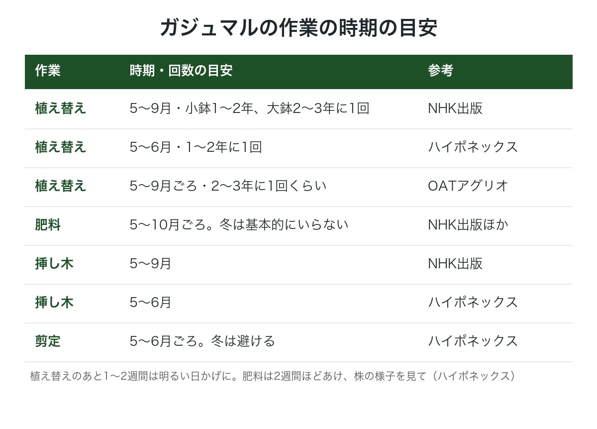 ガジュマルの植え替え・肥料・挿し木の時期の図