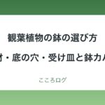 観葉植物の鉢の選び方｜素材ごとの乾きやすさ・底の穴・受け皿と鉢カバー