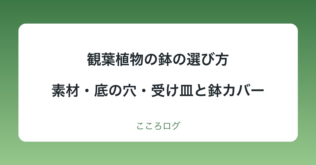 観葉植物の鉢の選び方｜素材ごとの乾きやすさ・底の穴・受け皿と鉢カバー