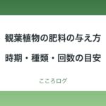 観葉植物の肥料の与え方｜時期・種類・回数の目安と、やめる時期
