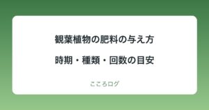 観葉植物の肥料の与え方｜時期・種類・回数の目安と、やめる時期