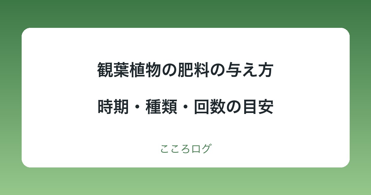 観葉植物の肥料の与え方|時期・種類・回数の目安と、やめる時期