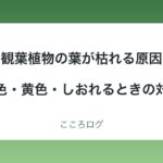 観葉植物の葉が枯れる原因と対処｜茶色・黄色・しおれる様子から探す