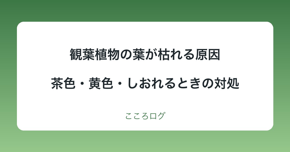 観葉植物の葉が枯れる原因と対処｜茶色・黄色・しおれる様子から探す