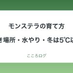 モンステラの育て方｜置き場所・水やり・冬は5℃以上・植え替えの目安