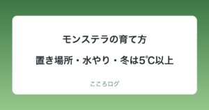 モンステラの育て方｜置き場所・水やり・冬は5℃以上・植え替えの目安