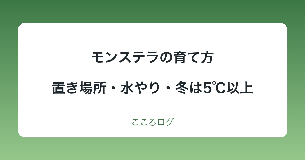 モンステラの育て方｜置き場所・水やり・冬は5℃以上・植え替えの目安