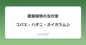 観葉植物の虫対策｜コバエ・ハダニ・カイガラムシの見分け方と対処・予防
