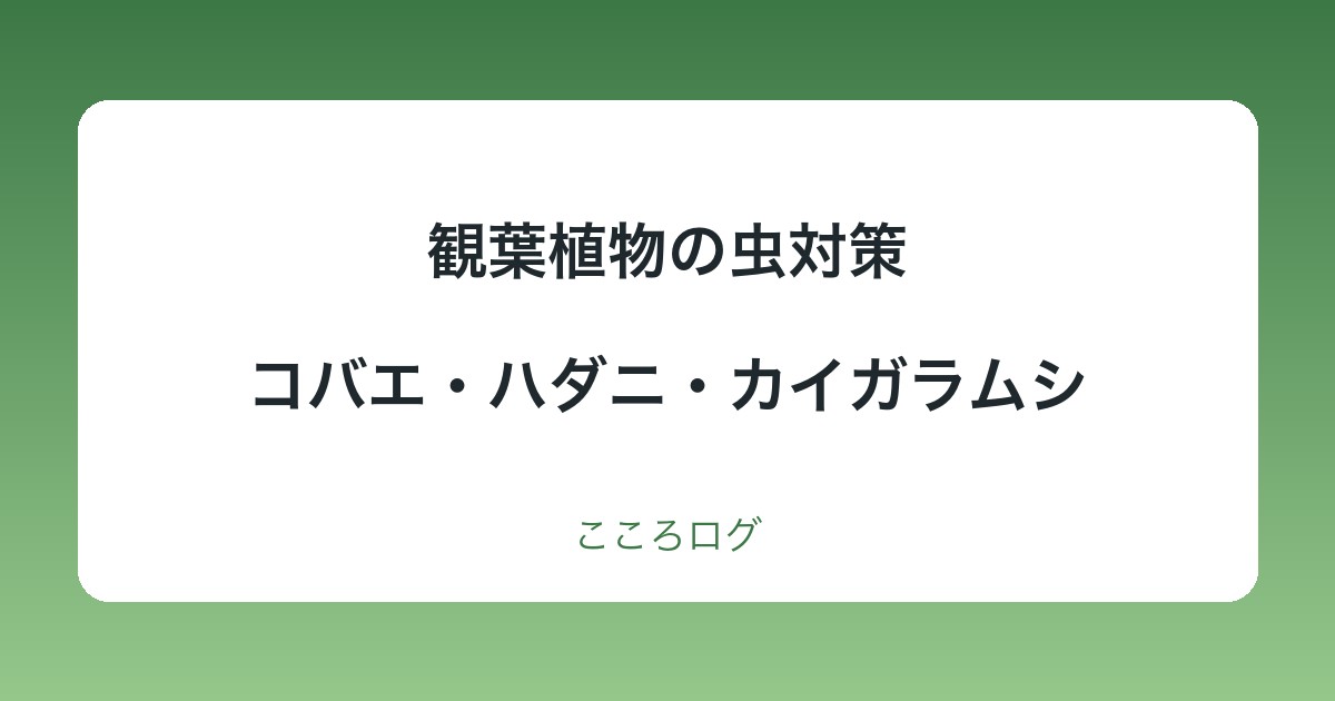 観葉植物の虫対策|コバエ・ハダニ・カイガラムシの見分け方と対処・予防