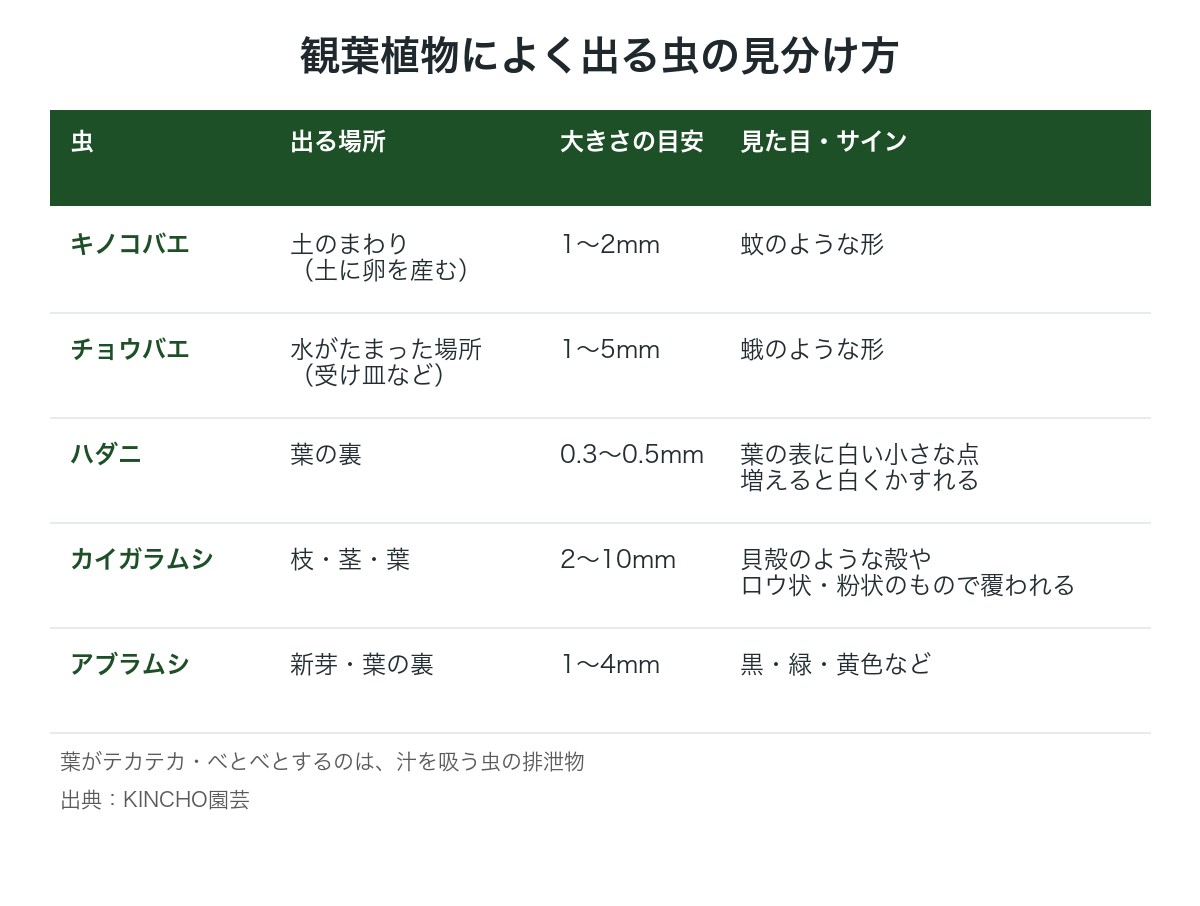 観葉植物によく出る虫の見分け表(出る場所・大きさ・見た目)