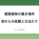 観葉植物の置き場所と日当たり｜窓からの距離と日陰の目安