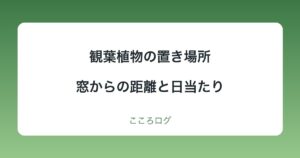 観葉植物の置き場所と日当たり｜窓からの距離と日陰の目安