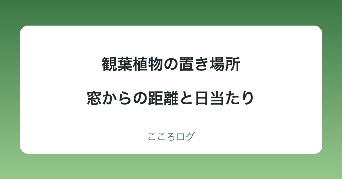 観葉植物の置き場所と日当たり｜窓からの距離と日陰の目安