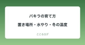 パキラの育て方｜置き場所・水やり・冬の温度・植え替えの目安