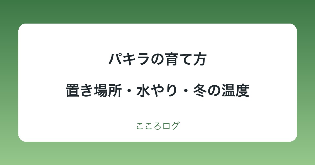 パキラの育て方｜置き場所・水やり・冬の温度・植え替えの目安