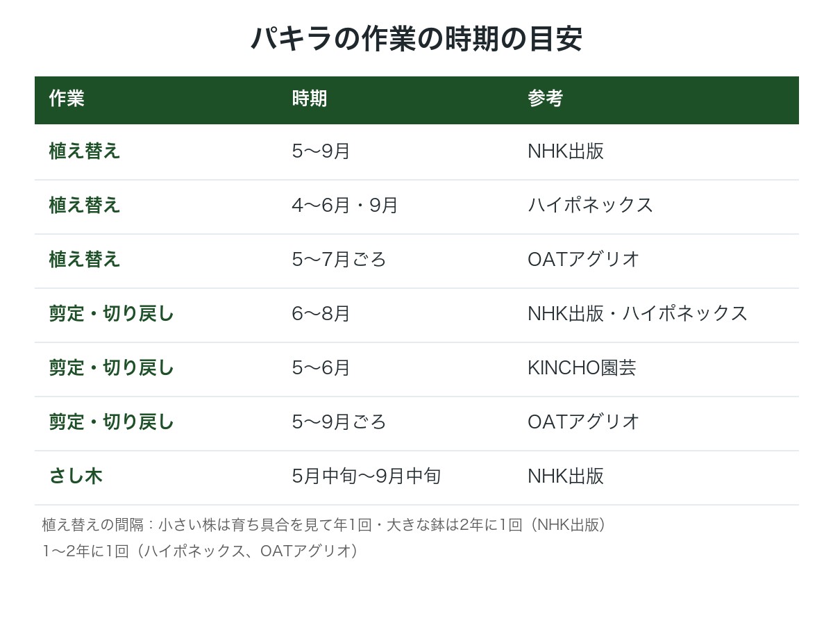 パキラの植え替え・剪定・さし木の時期の目安の図