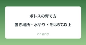 ポトスの育て方｜置き場所・水やり・冬は5℃以上・植え替えの目安