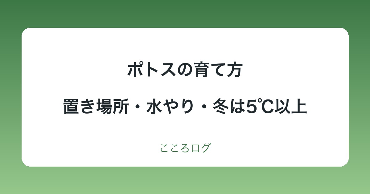 ポトスの育て方｜置き場所・水やり・冬は5℃以上・植え替えの目安