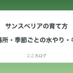 サンスベリアの育て方｜置き場所・季節ごとの水やり・冬越し・ふやし方
