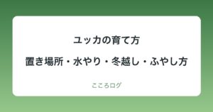 ユッカの育て方｜置き場所・水やり・冬越し・植え替えと肥料・ふやし方