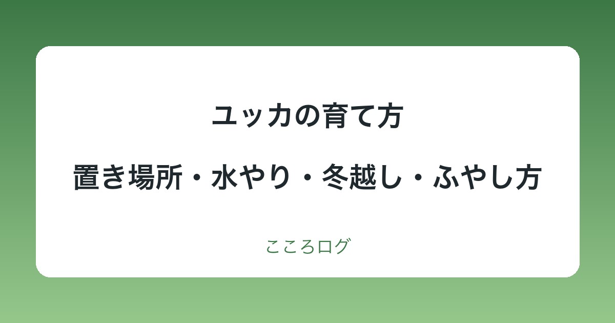 ユッカの育て方|置き場所・水やり・冬越し・植え替えと肥料・ふやし方