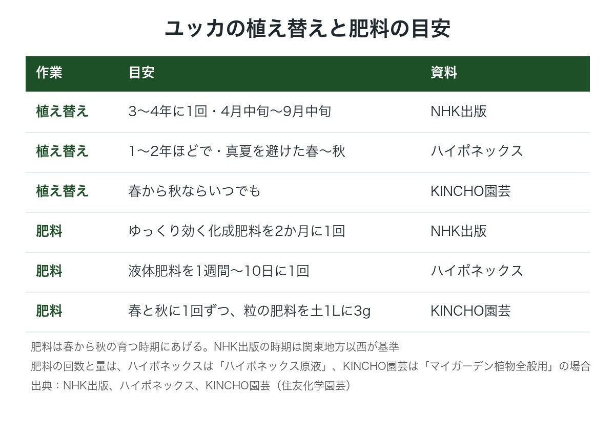 ユッカの植え替えと肥料の目安の図